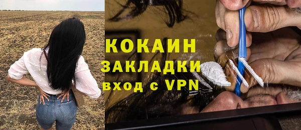 дживик Алексеевка