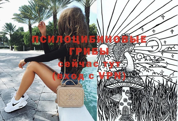 эйфоретик Алзамай