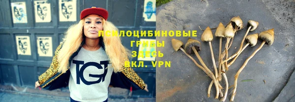 дживик Алексеевка