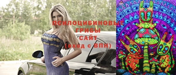 эйфоретик Алзамай