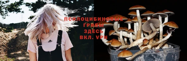 дживик Алексеевка