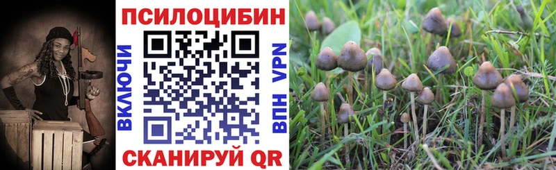 Псилоцибиновые грибы GOLDEN TEACHER  Алексеевка 